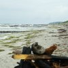 Tour 11: Hiddensee